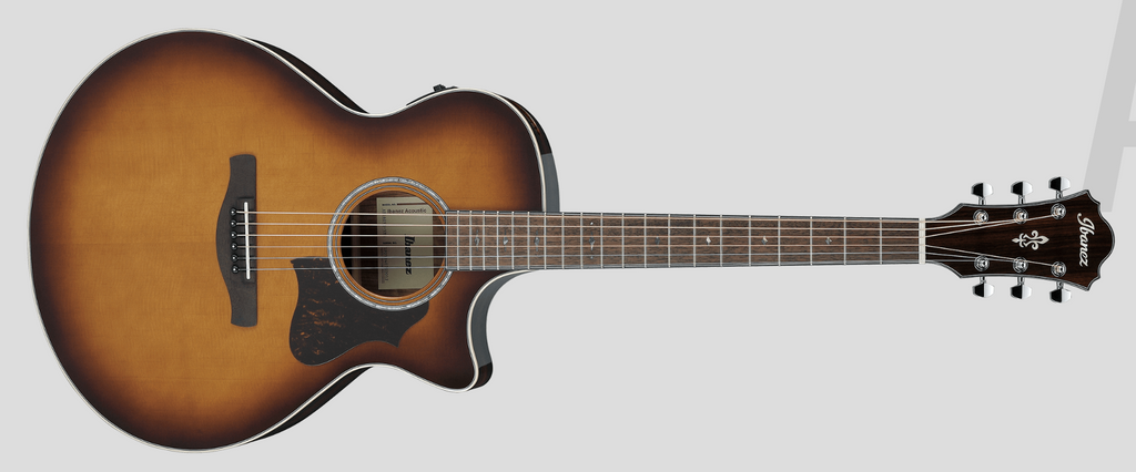 NEW 2025 Ibanez Acoustics