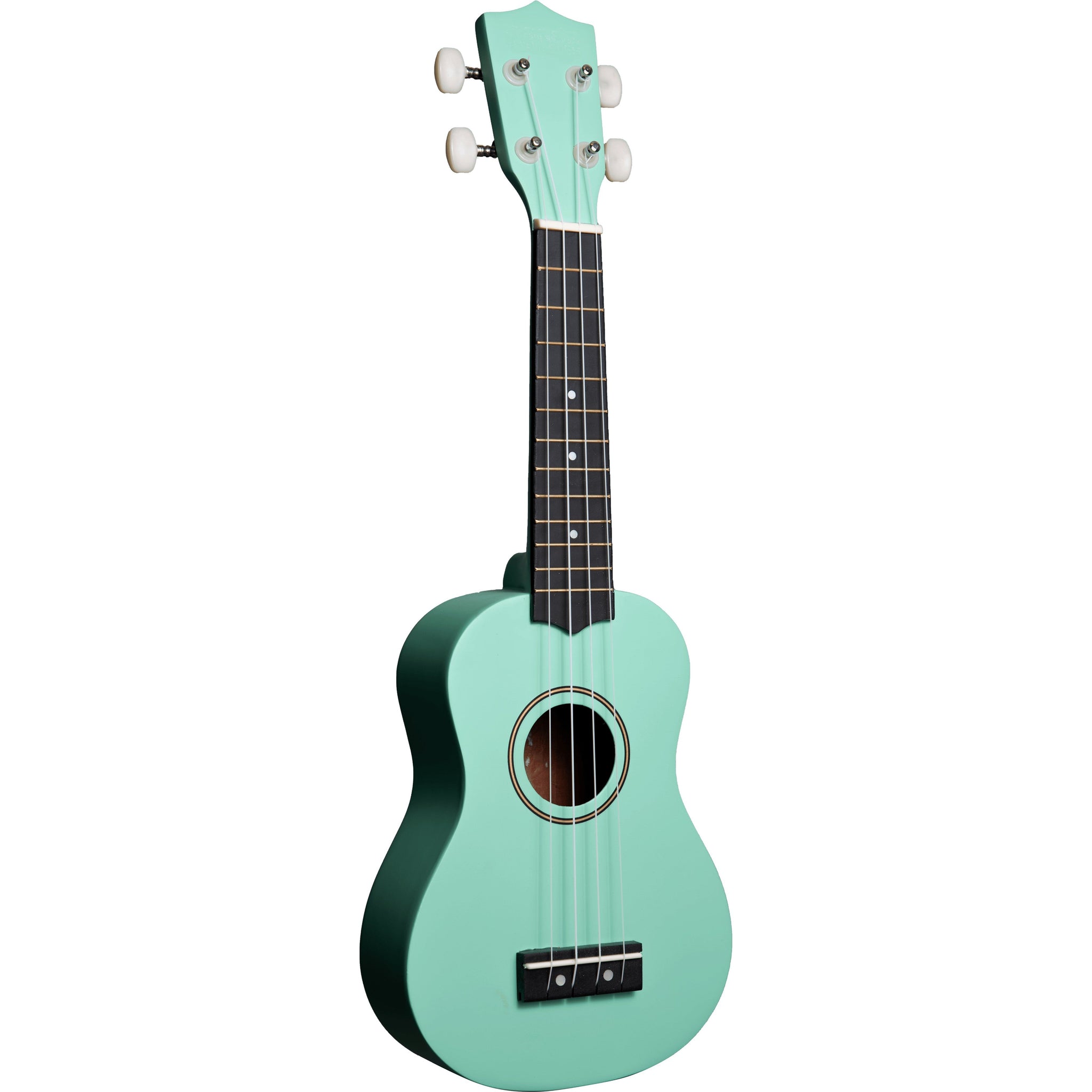 Amahi PNUKGR Tropical Series Soprano Ukulele with Gig Bag-Mint Green-Music World Academy