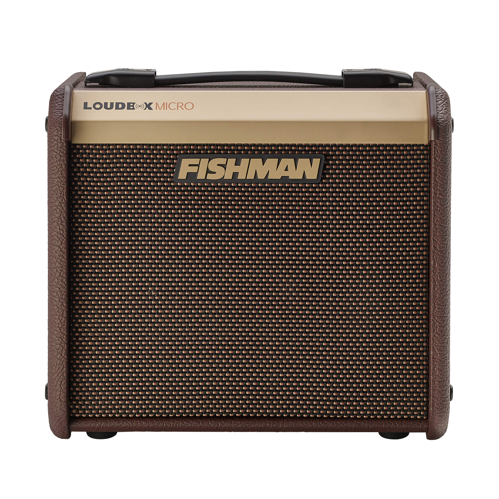 Fishman PRO-LBT-400 Loudbox Micro Acoustic Combo Amp with 5.25" Speaker-40 Watts-Music World Academy