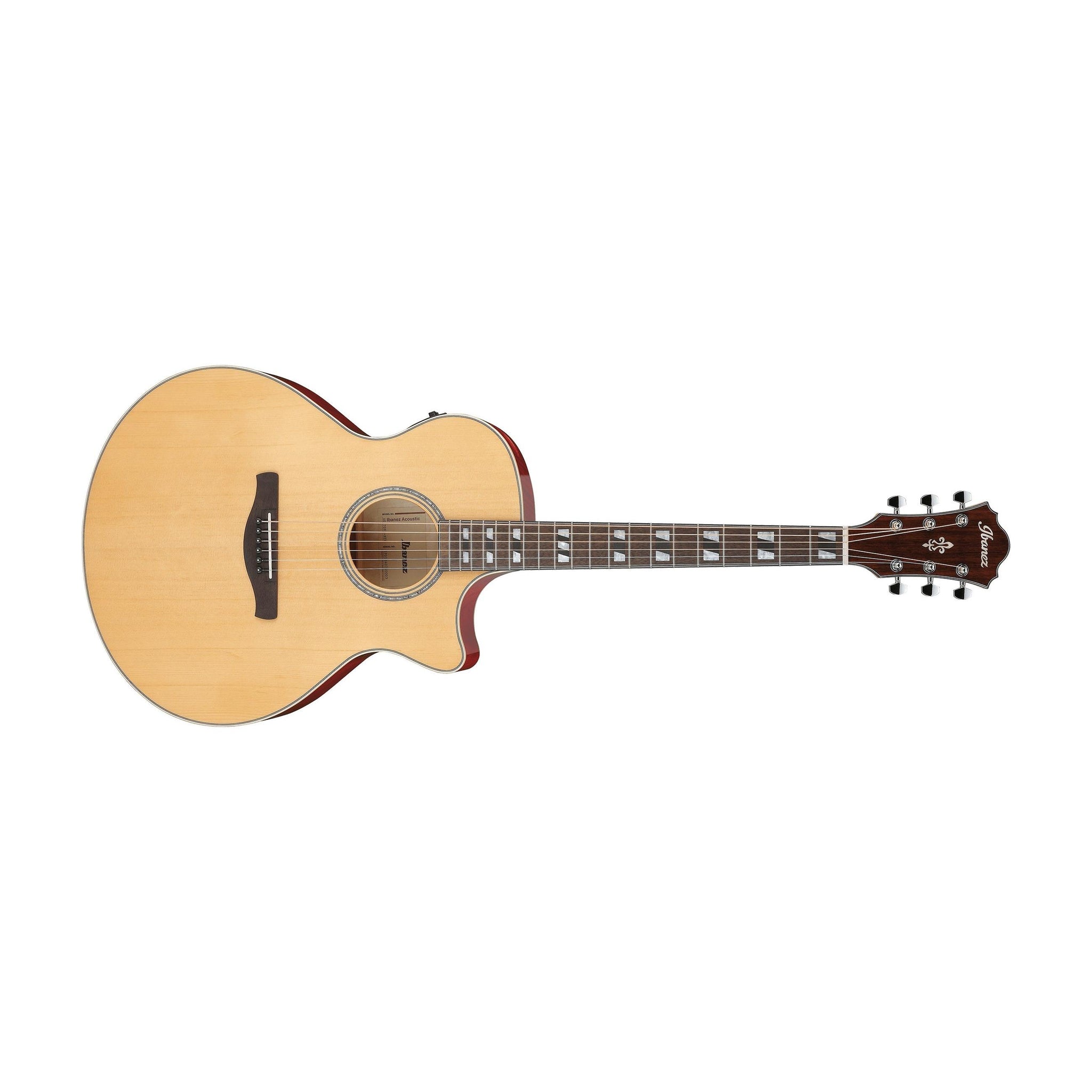 Ibanez AE170-NTR AE Series Acoustic/Electric Guitar-Natural High Gloss-Music World Academy