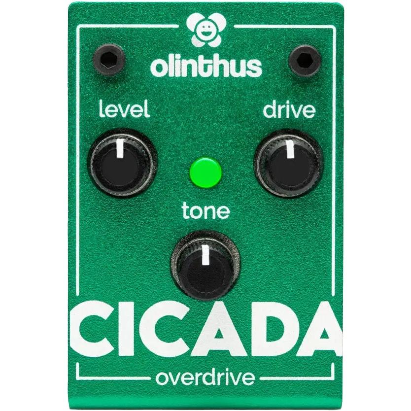 Olinthus CICADA Overdrive Pedal-Music World Academy