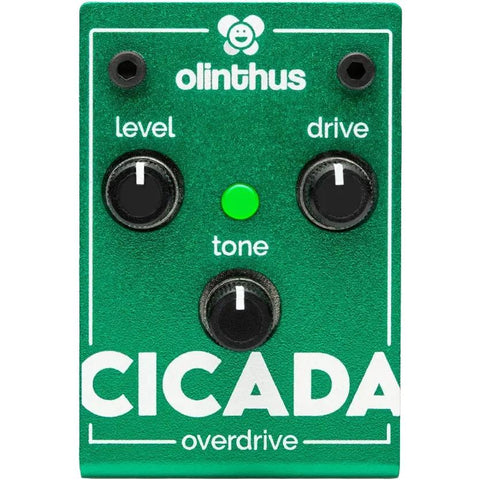 Olinthus CICADA Overdrive Pedal-Music World Academy