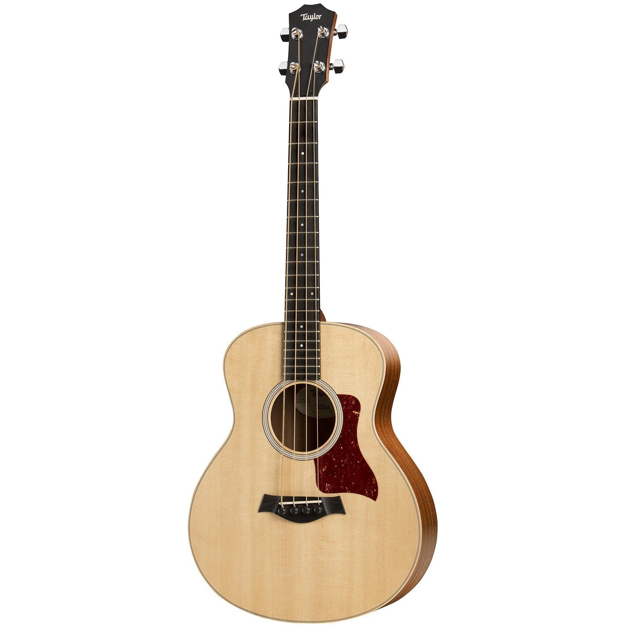 Taylor GS MINI-e BASS Acoustic/Electric Bass with ES-B Pickup & Gig Bag-Music World Academy