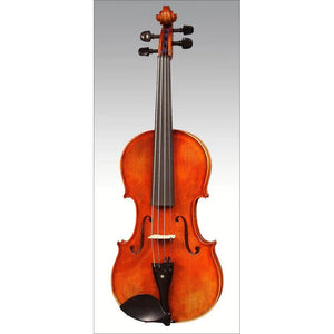 ARS Instruments AM028/O Advanced Violin Outfit 4/4 Size with Case & Bow-Music World Academy