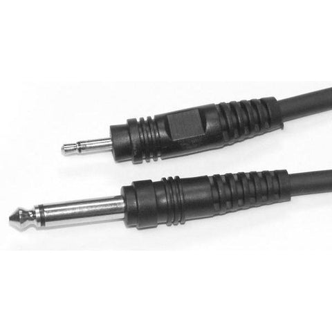 Apex A110MMP 1/8" Male to 1/4" Male Cable-10ft-Music World Academy
