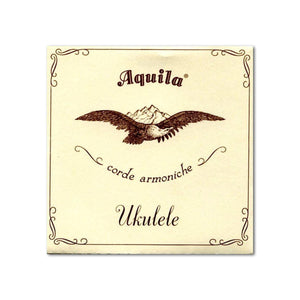 Aquila 21U Nylgut Low D Baritone Ukulele Strings-Music World Academy