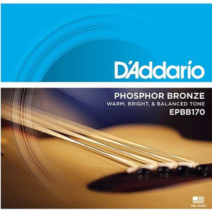 D'Addario EPBB170 Phosphor Bronze Acoustic Bass Strings 45-100-Music World Academy