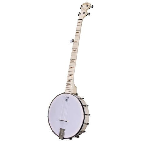 Gold Tone Hd-15m Hardshell Case for 12 Openback Banjo