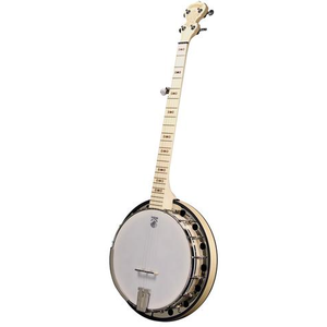 Deering GS Goodtime Special 5-String Banjo with Resonator-Music World Academy