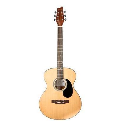 Denver DF44S-NAT Folk Acoustic Guitar with Gig Bag-Natural-Music World Academy