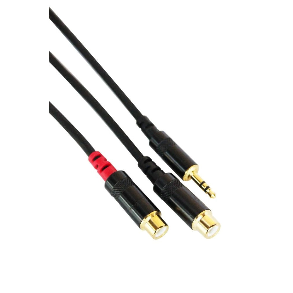 Digiflex HIN-1K-2R-6 Performance Series Adapter Cable 1/8" Male- Dual RCA-6ft-Music World Academy