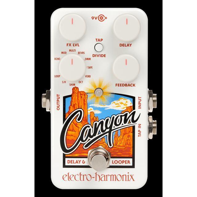 Electro-Harmonix Canyon Delay & Looper Pedal-Music World Academy