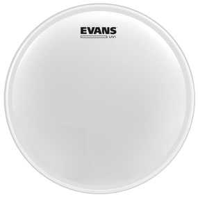 Evans B12UV1 UV1 Coated 12"-Music World Academy
