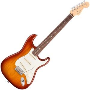 Fender American Professional Stratocaster Electric Guitar RW Sienna Sunburst with Hardshell Case (Discontinued)-Music World Academy