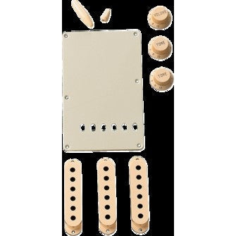 Fender Stratocaster Accessory Kit Aged White Music World Academy