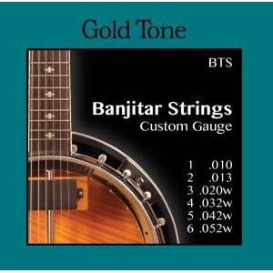 Gold Tone BTS Banjitar Silverwound Loop End Guitar Strings Custom 10-52-Music World Academy