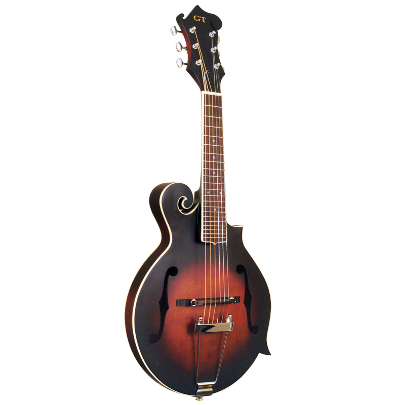 Gold Tone F-6 6-String Mandolin Guitar with Semi-Hard Case-Music World Academy