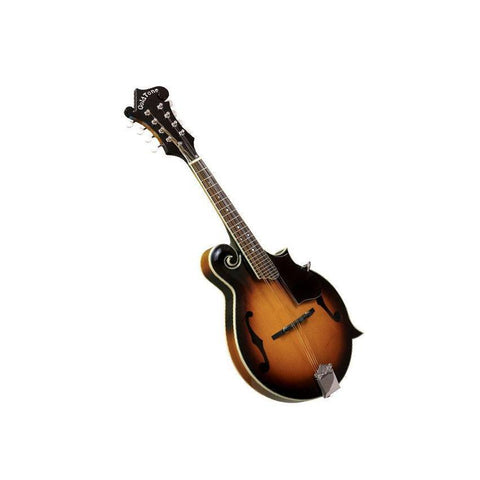 Gold Tone GM-35 GT Series F-Style Mandolin with Semi-Hard Case-Music World Academy