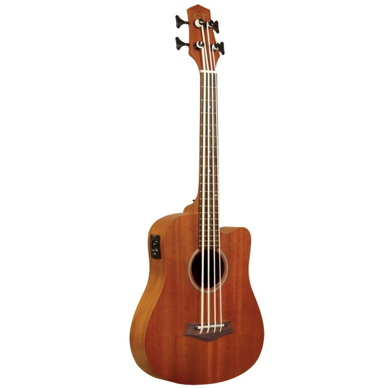 Gold Tone MBASS GT Series Micro Bass with Gig Bag-Music World Academy