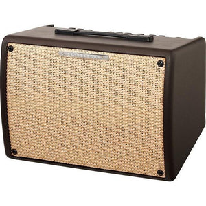 Ibanez T30II-N Troubadour Combo Acoustic Guitar Amp with 8" Speaker- 30 Watts (Discontinued)-Music World Academy