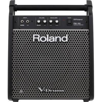 Roland PM-100 Personal Monitor with 10" Speaker-80 Watts-Music World Academy