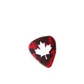 Solutions Canadian Picks-Music World Academy