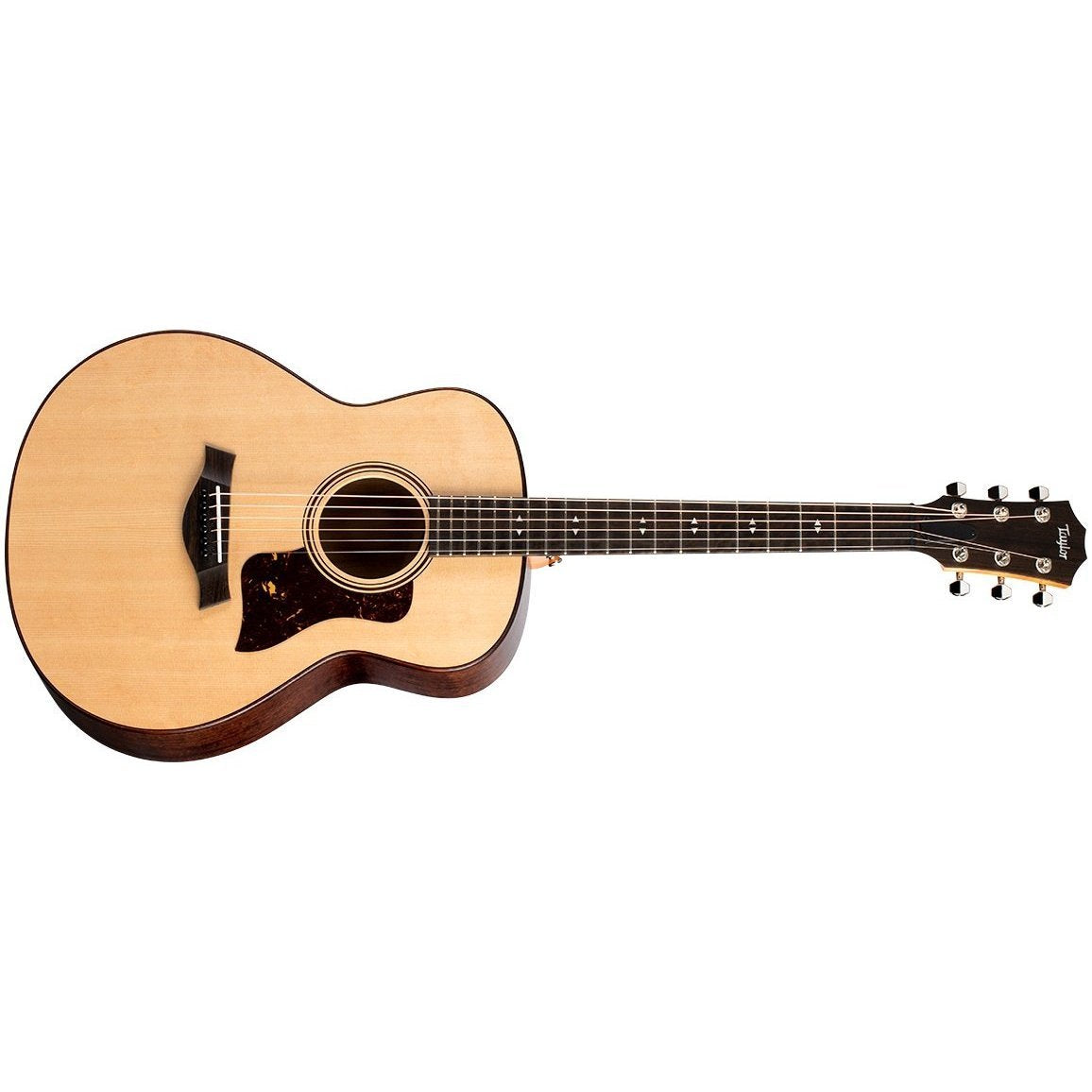 Taylor GT Urban Ash Acoustic Guitar with Aerocase (Discontinued)-Music World Academy