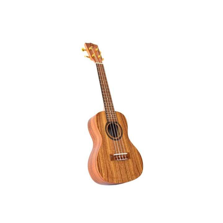 Twisted Wood AR-800C Aurora Concert Ukulele with Gig Bag-Music World Academy