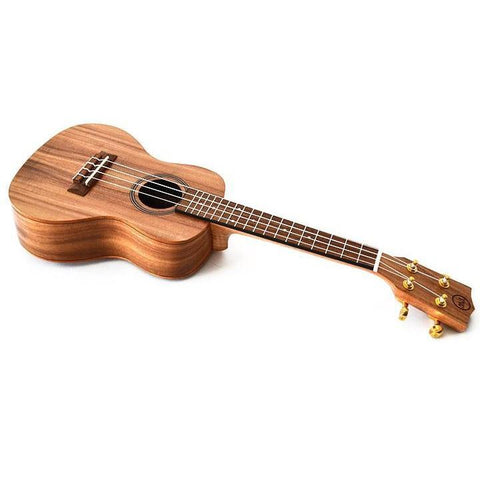 Twisted Wood AR-800CE Aurora Concert Ukulele with Belcat Pickup & Gig Bag-Music World Academy